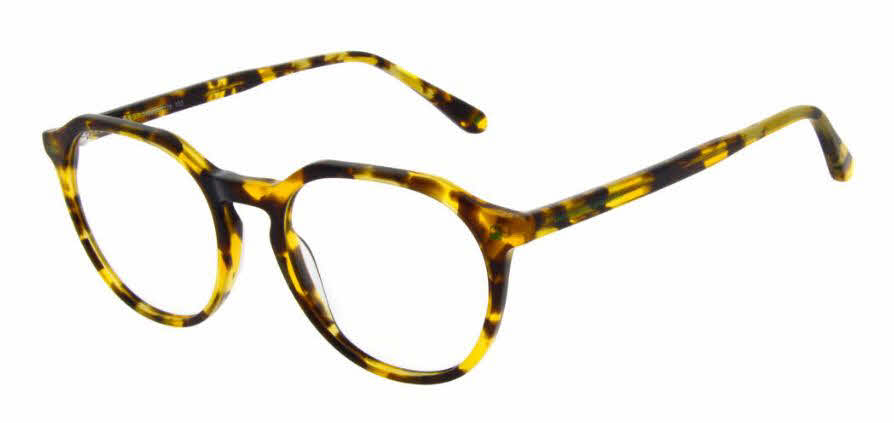  clear lens/tortoise