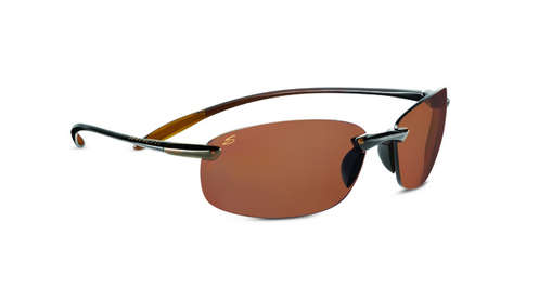  polarized dr/shiny brown