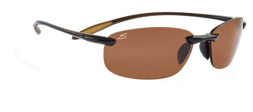  polarized dr/shiny brown