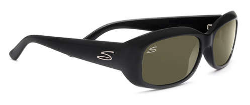  polarized/shiny black