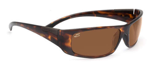  polarized dr/dark tortoise