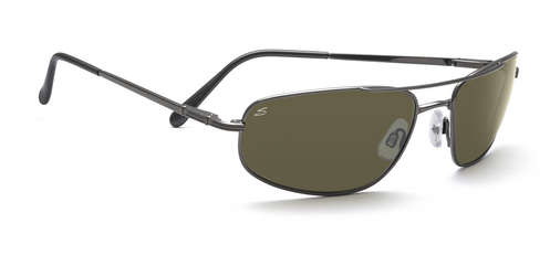  polarized/shiny gunmetal