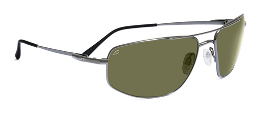  polarized/shiny gunmetal