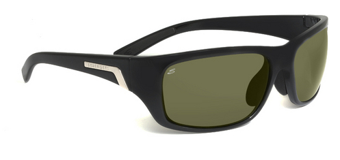  polarized/shiny black