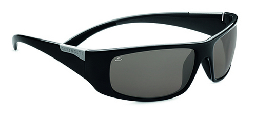  gray polarized/shiny black