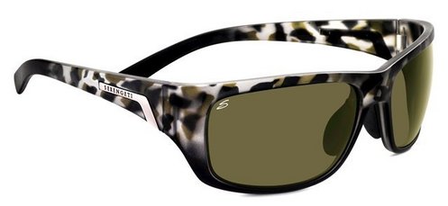  polarized/black tortoise