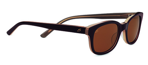  polarized drivers/burnt almond