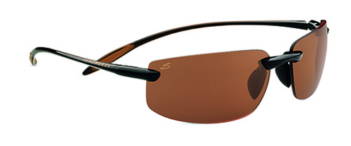  polarized drivers/shiny brown