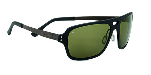  polarized/satin black