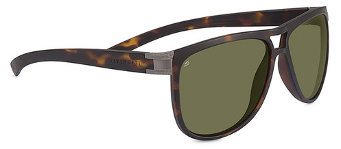  polarized/satin tortoise