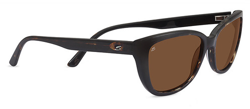  black polarized drivers/tortoise