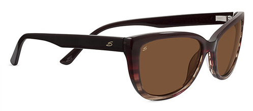  tortoise polarized drivers/red taupe