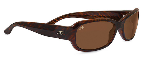  brown stripe tortoise polarized drivers/shiny dark