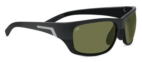  matte black polarized/shiny