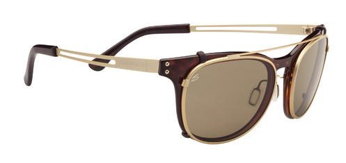  tortoiseshiny light gold polarized drivers/shiny dark