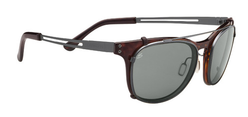  tortoiseshiny dark gunmetal polarized/shiny dark