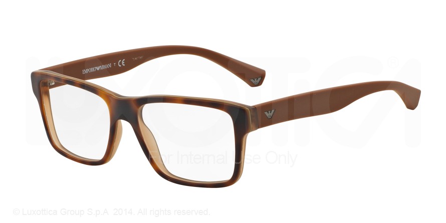  clear/top havanamatte brown