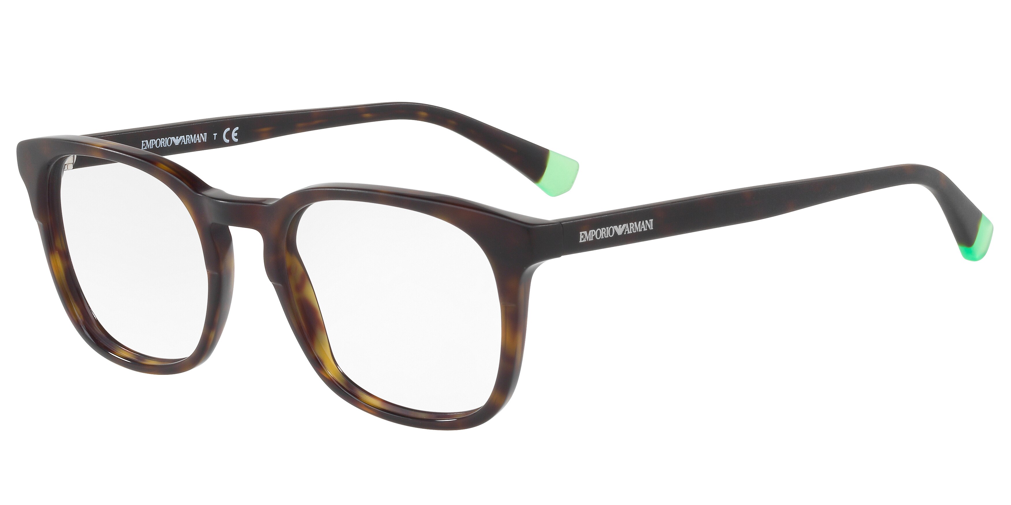 EMPORIO ARMANI 3118F 5089