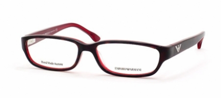  havana red /clearlens