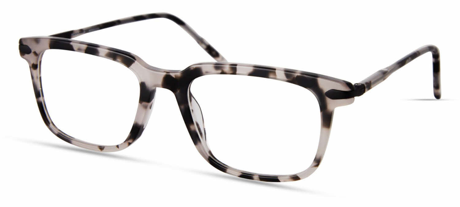 MODO KENT GREYTORTOISE