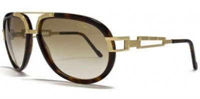  as shown/tortoise shell brown gradient