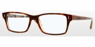  top havana/transparent brown clear