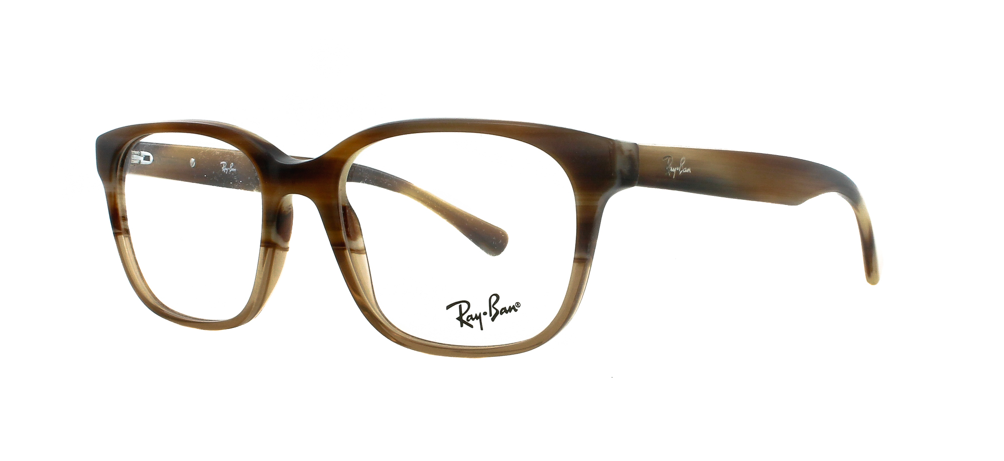 RAY BAN 5340 5542