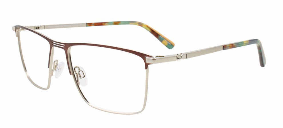 clear lens/light brown steel