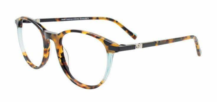  clear lens/tortoise