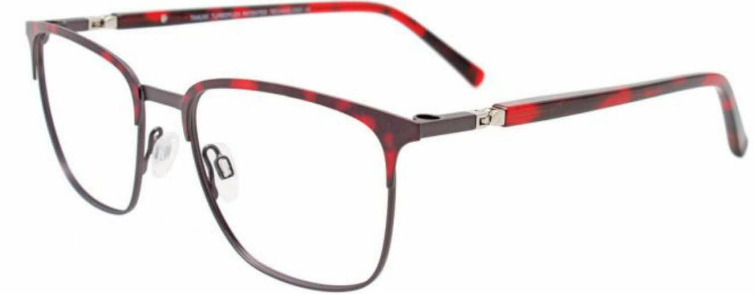  clear lens/steel red tortoise