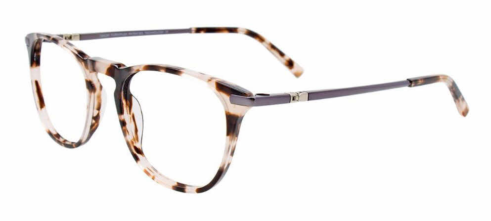  clear lens/demi brown matte dark steel with polarized clip on lens