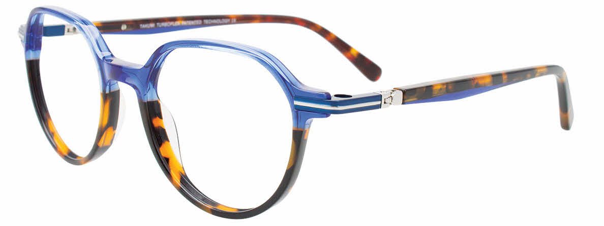  tortoise/blue tortoise