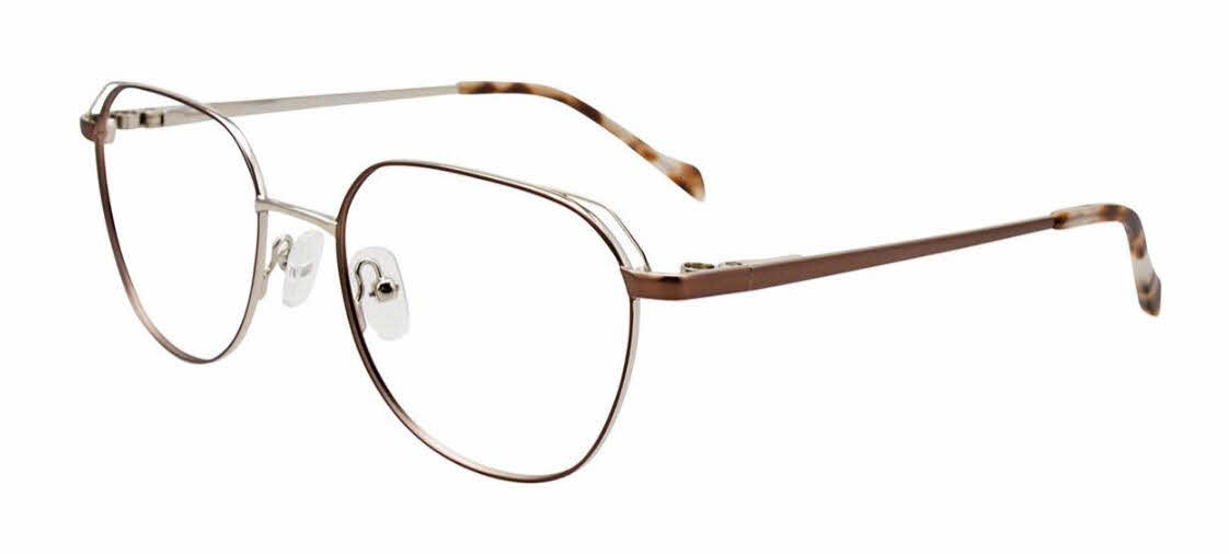  clear lens/matte light brown shiny silver