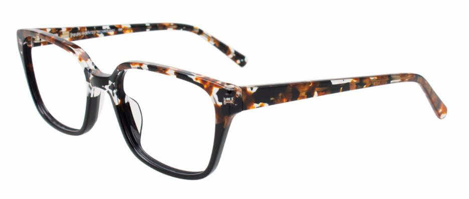 tortoise/black