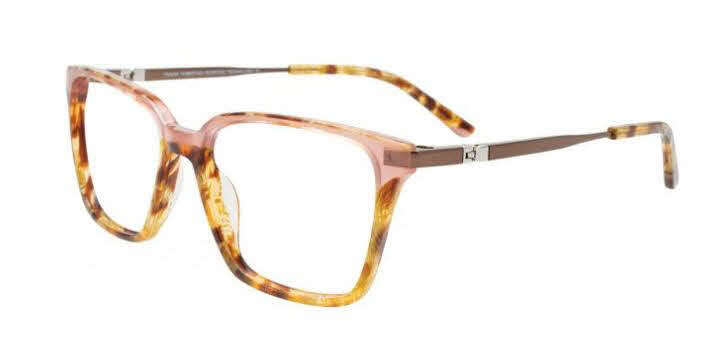  clear lens/tortoise