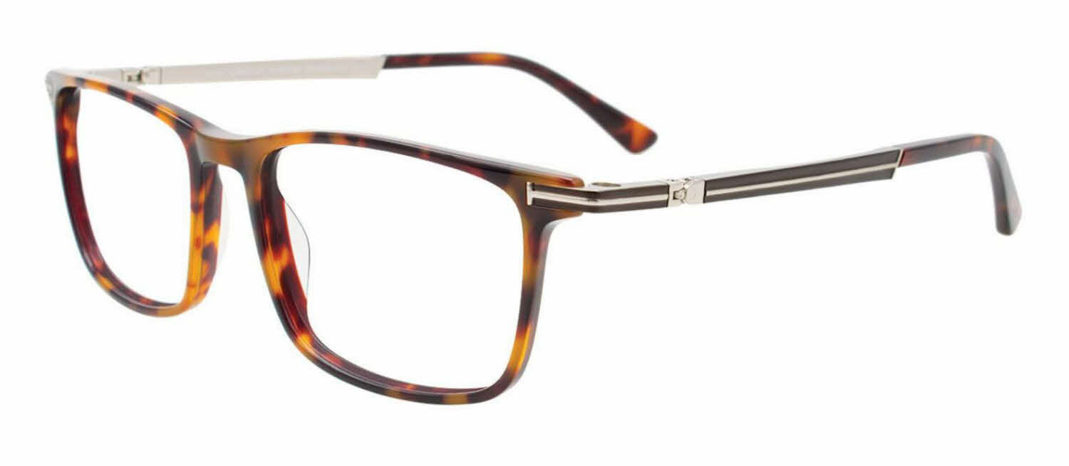  clear lens/brown tortoise