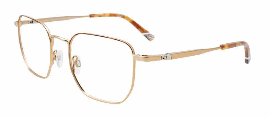  clear lens/gold tortoise
