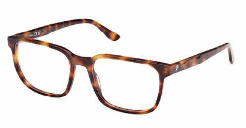  clear lens/havana