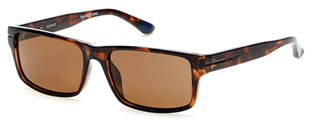  clear/darkhavana/brownpolarized