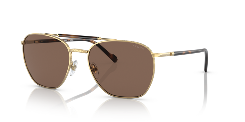 dark brown/gold