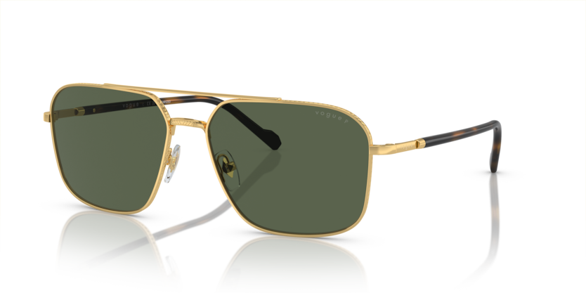  dark green polarized/gold