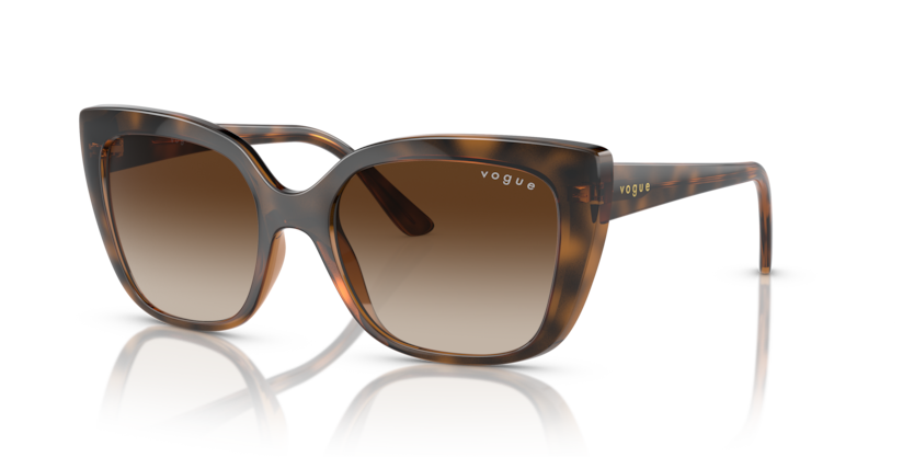  brown gradient/dark havana
