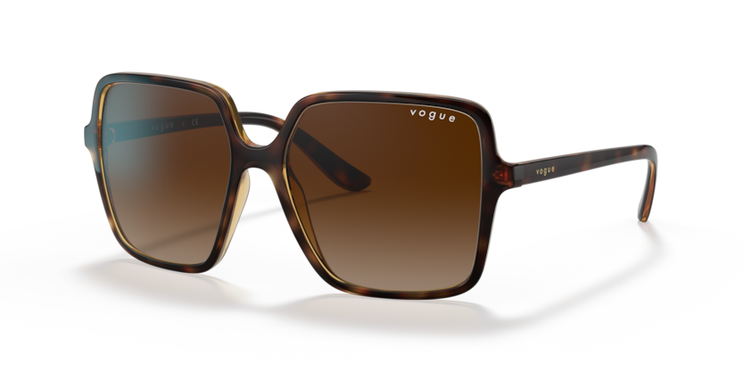  brown gradient/dark havana