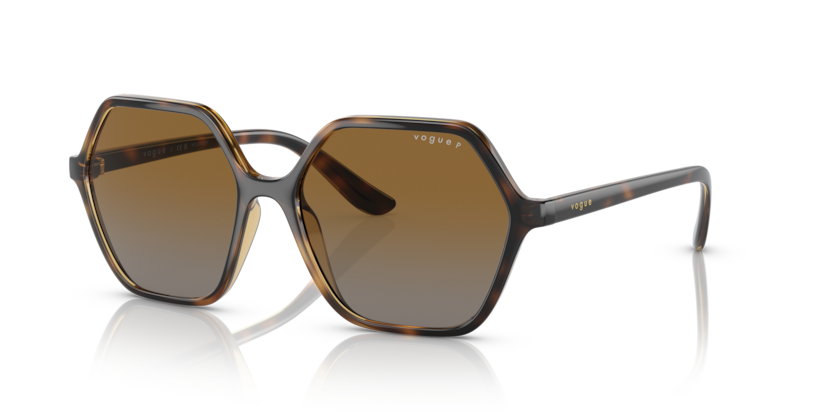  polar brown gradient/dark havana