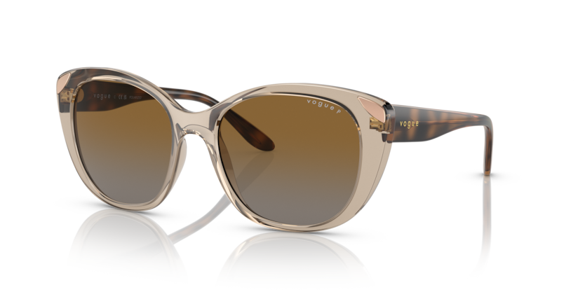  polar brown gradient/transparent caramel