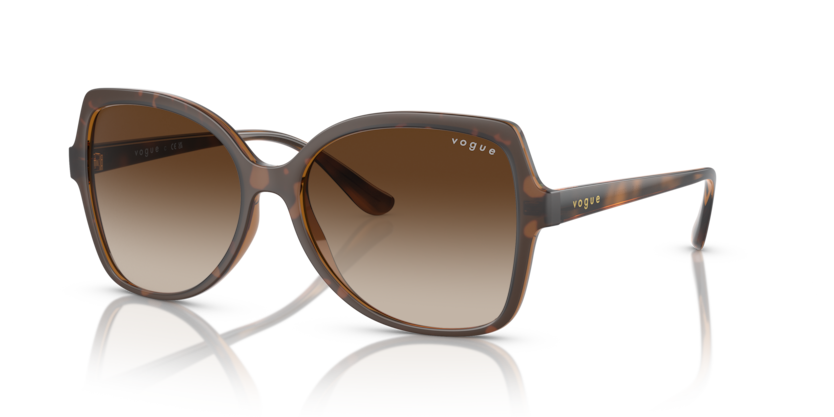  gradient brown/top havana/transparent brown