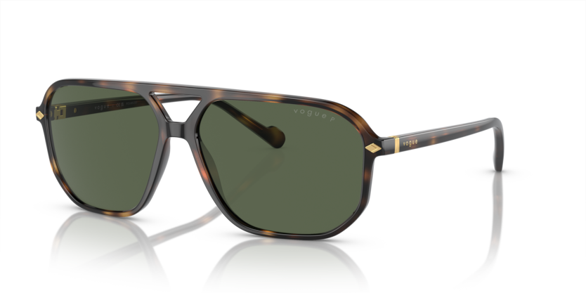 dark green polarized/total dark havana