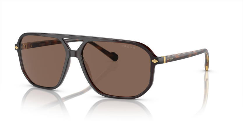  dark brown/transparent dark brown