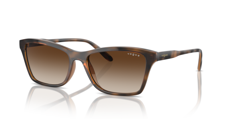  brown gradient/top havana/light brown