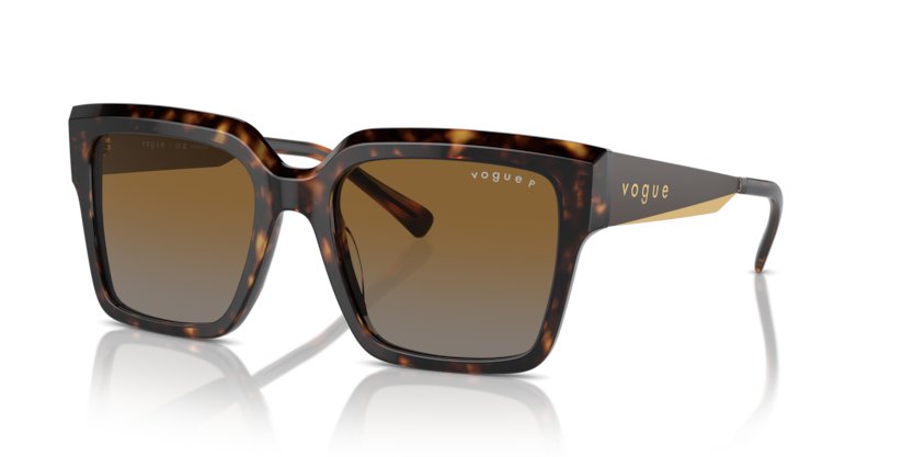  gradient brown polarized/dark havana